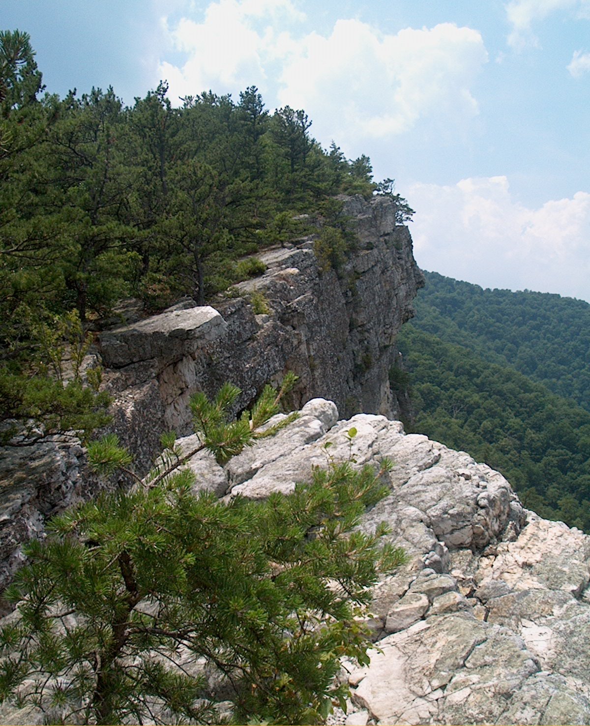 North Fork Mountain cliff face