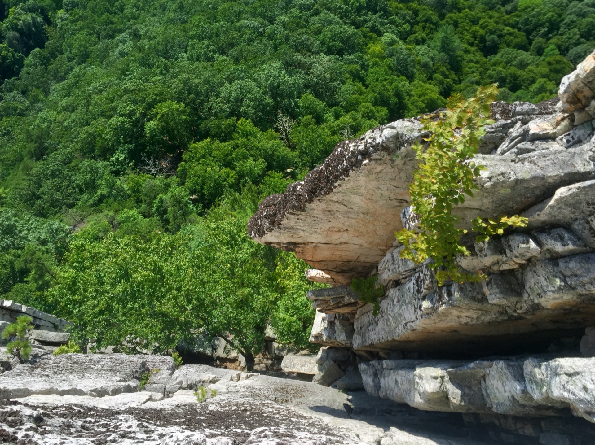 Climbing at Seneca Rocks