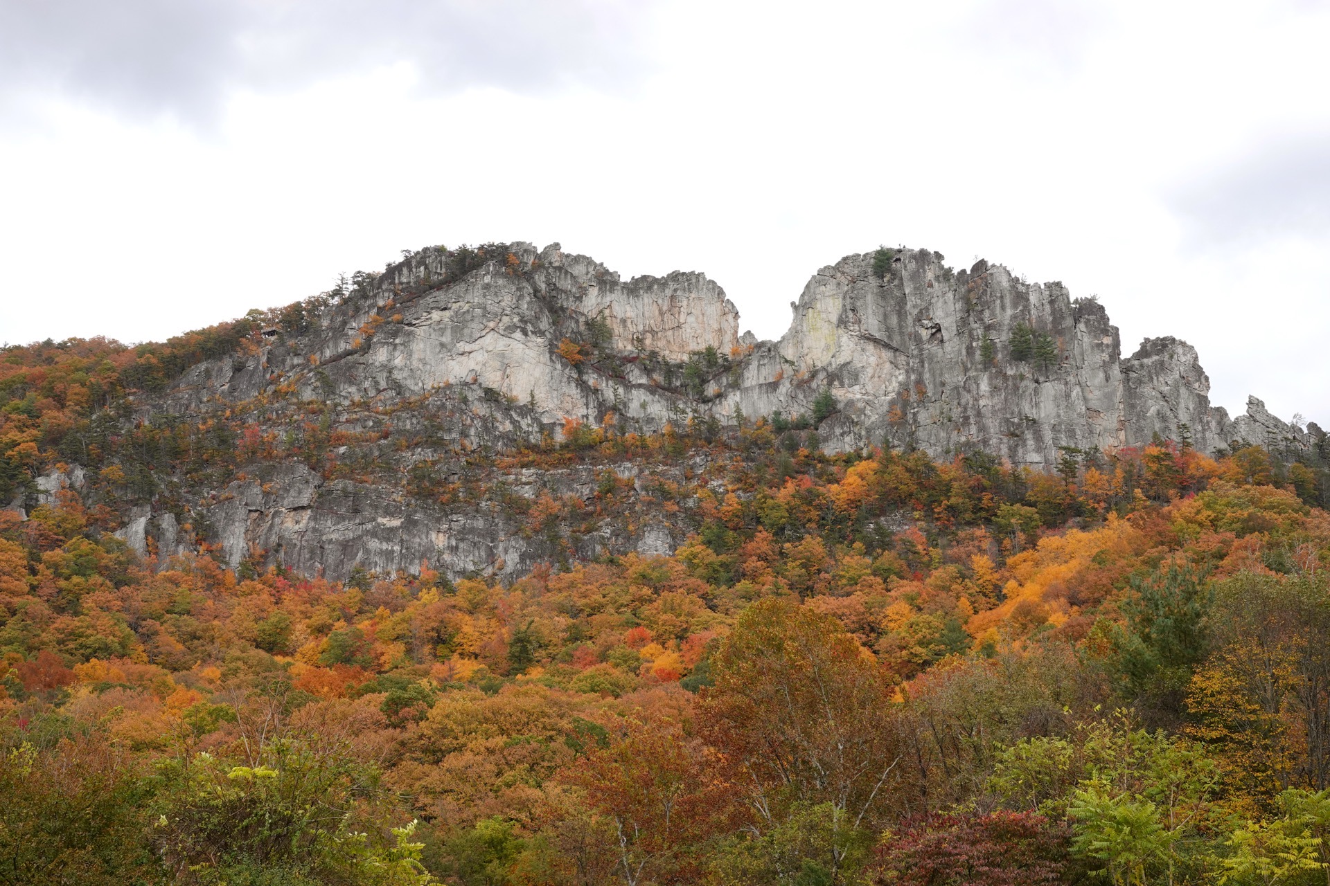 Seneca Rocks in autumn
