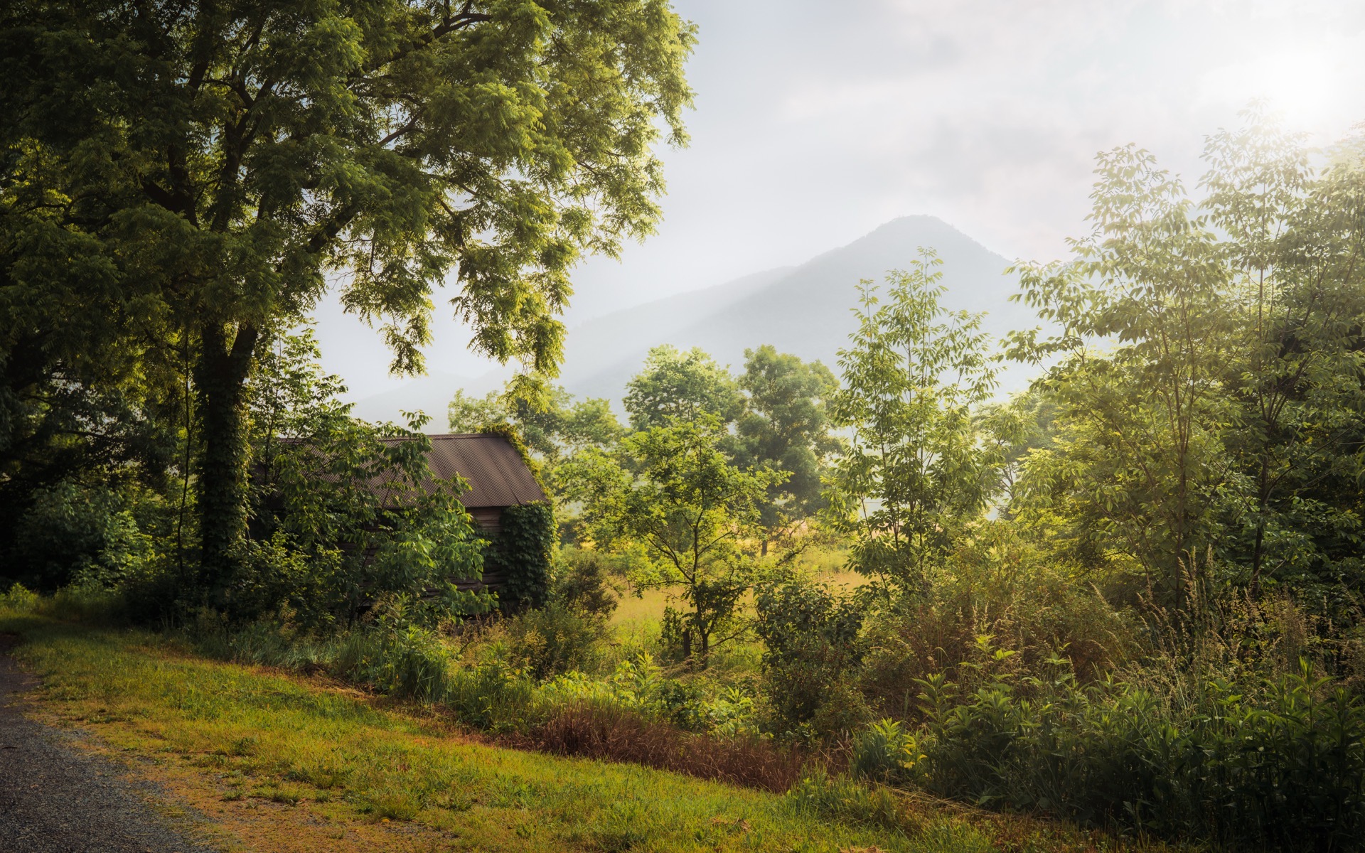 Sunrise near Seneca Rocks
