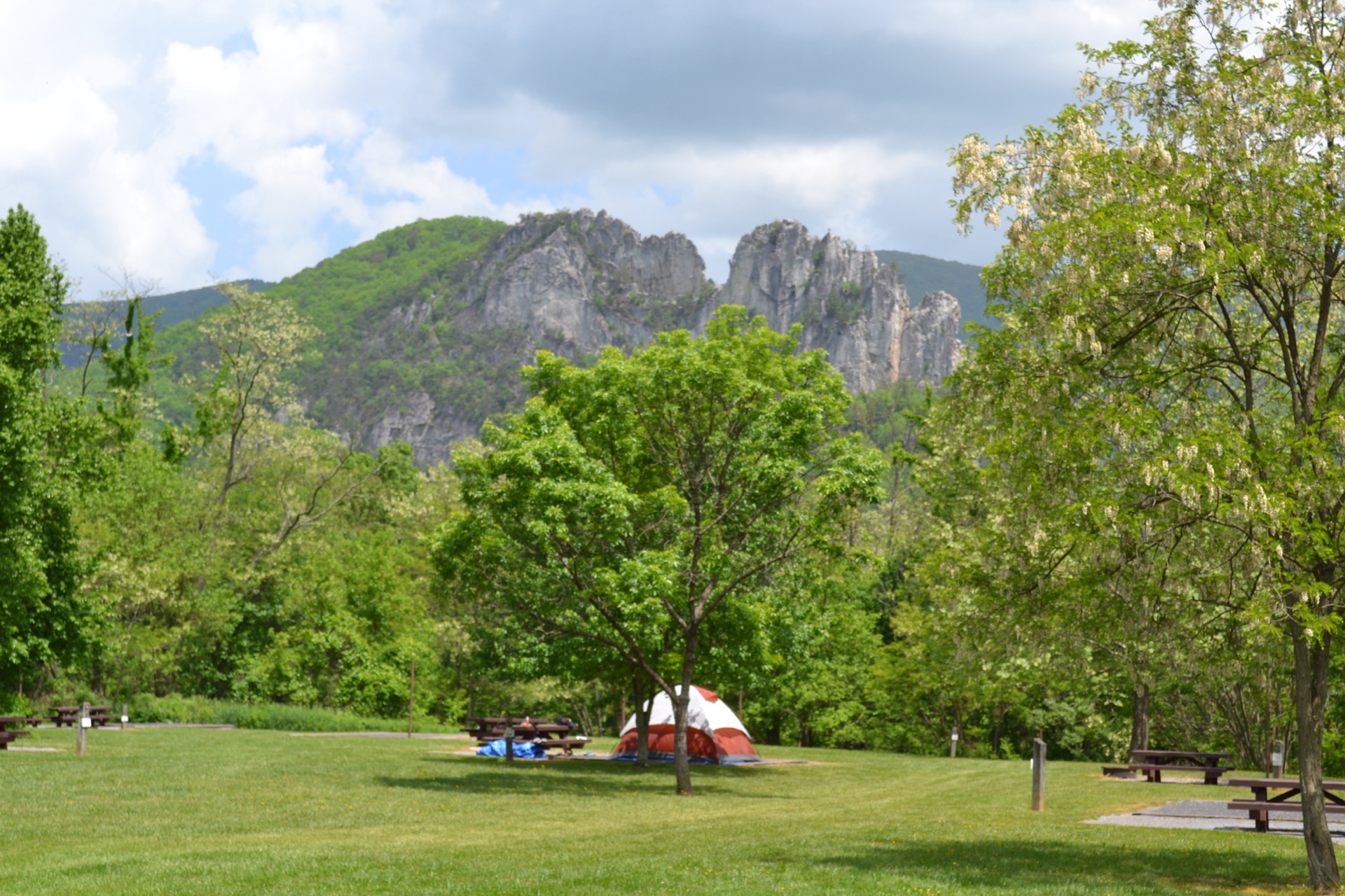 Seneca Rocks in Monongahela National Forest